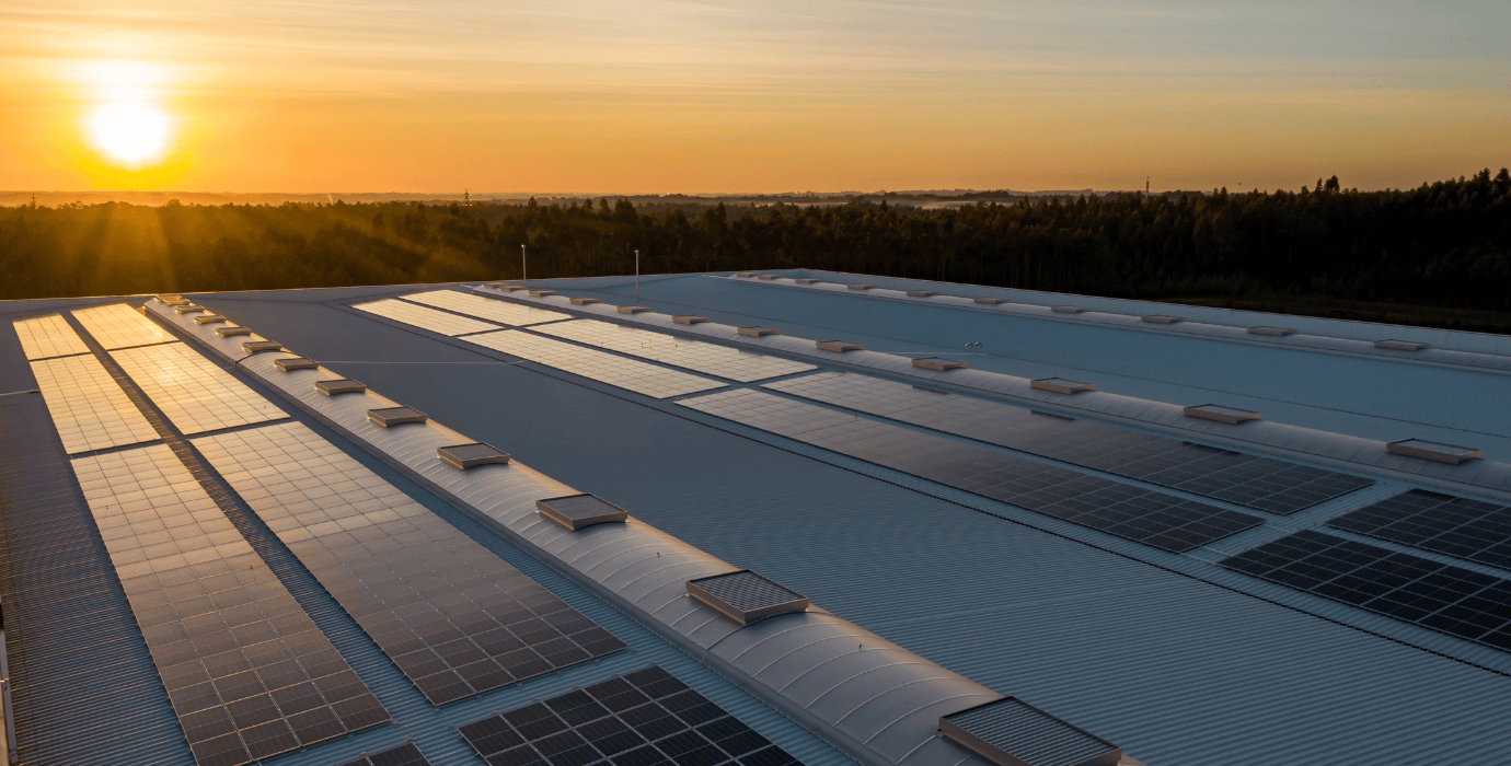 Rangée de panneaux solaires sous un soleil couchant