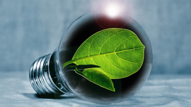 Métaphore de l'énergie verte : Feuille d'arbre incrustée dans une ampoule