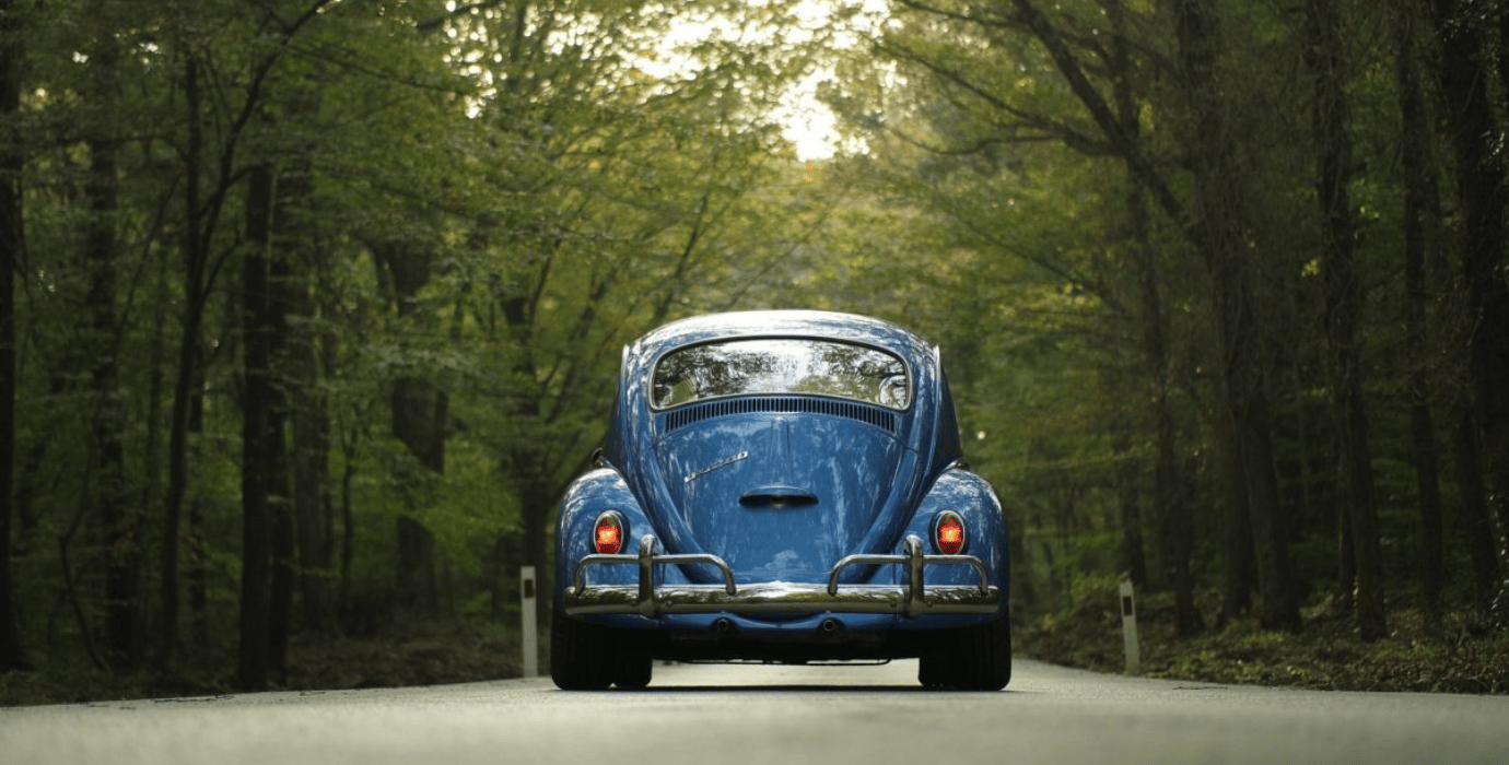 Véhicule anciennement thermique et nouvellement électrifié, roulant en pleine foret