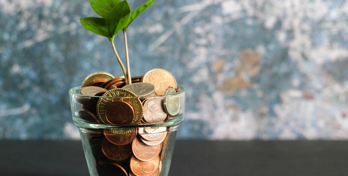Plante dans un pot rempli de pièces