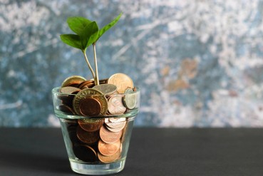 Plante dans un pot rempli de pièces